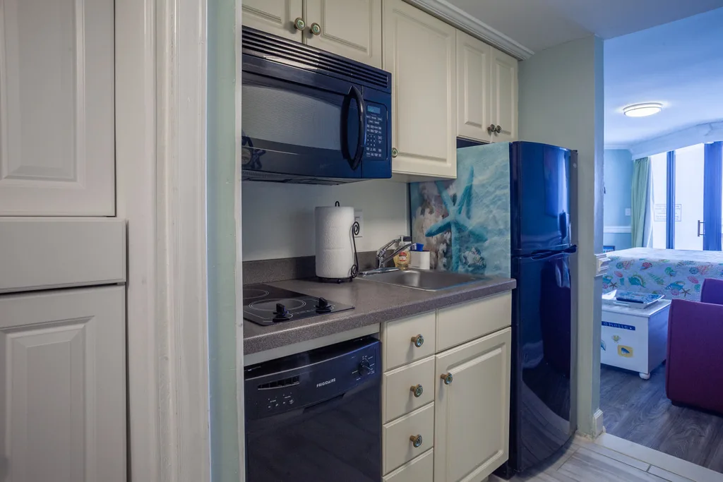 Studio kitchenette with stove, microwave, sink, and refrigerator
